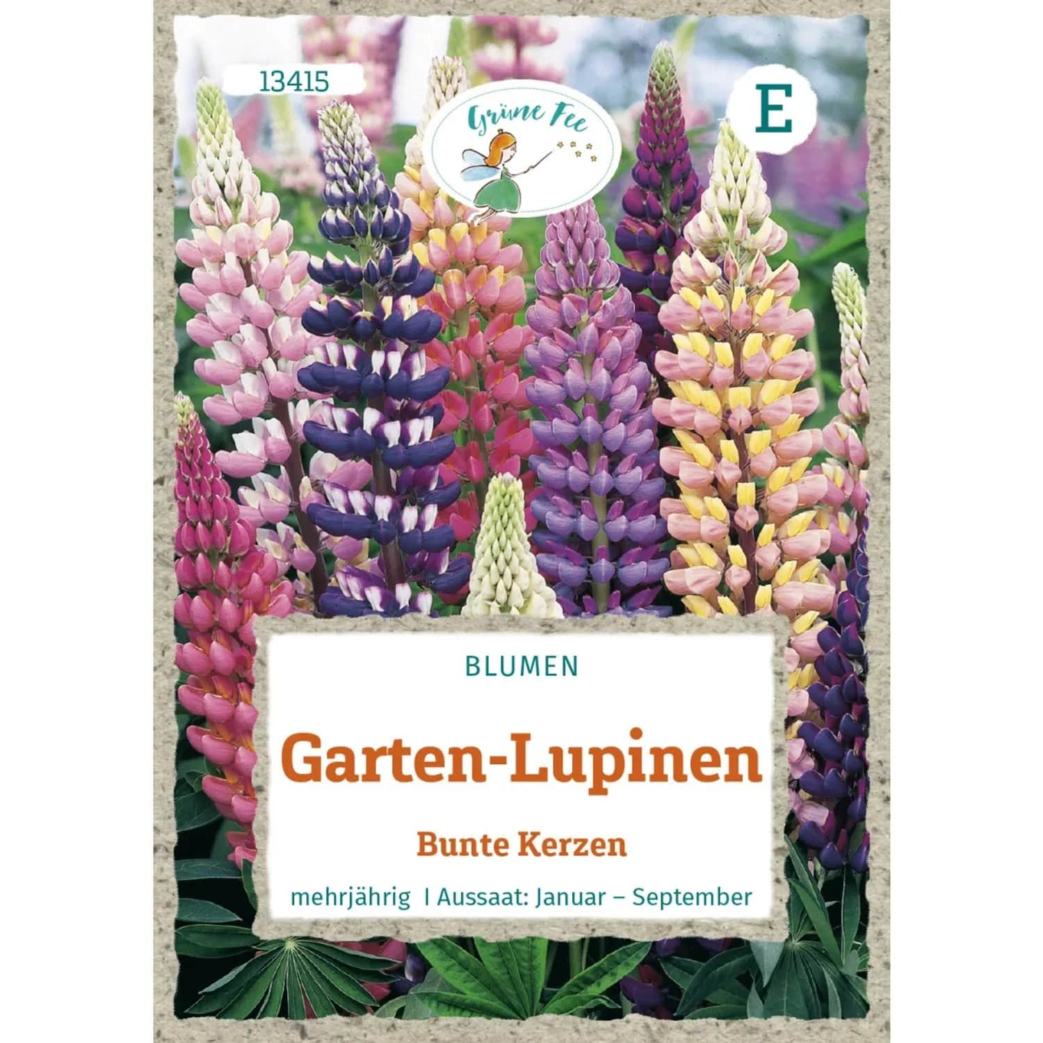 Grüne Fee Garten-Lupinen Bunte Kerzen Saatgut