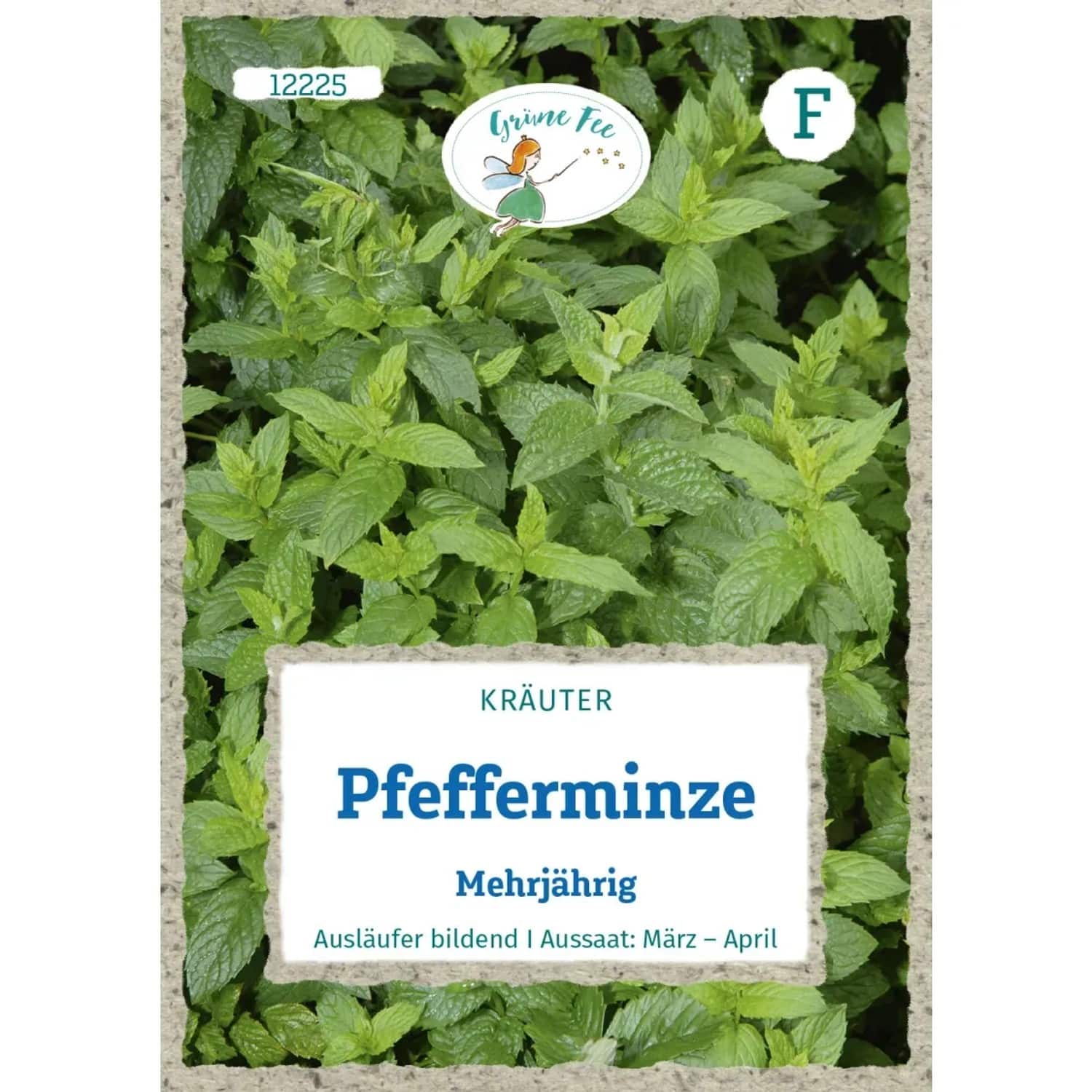 Grüne Fee Pfefferminze Mehrjährig Saatgut