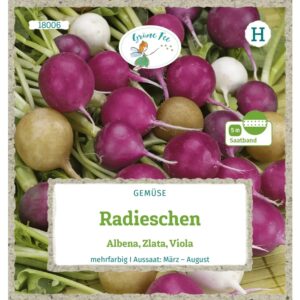 Grüne Fee Radieschen Albena Zlata Viola Saatband 5 M Saatgut