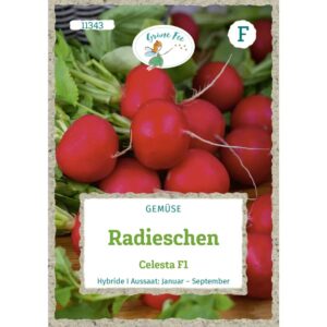 Grüne Fee Radieschen Celesta F1 Saatgut