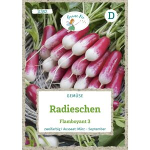 Grüne Fee Radieschen Flamboyant 3 Saatgut