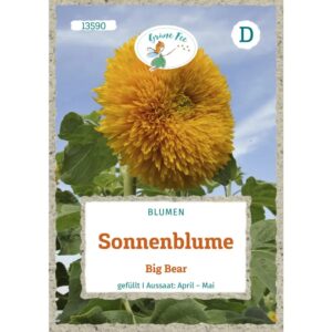 Grüne Fee Sonnenblume Big Bear Saatgut