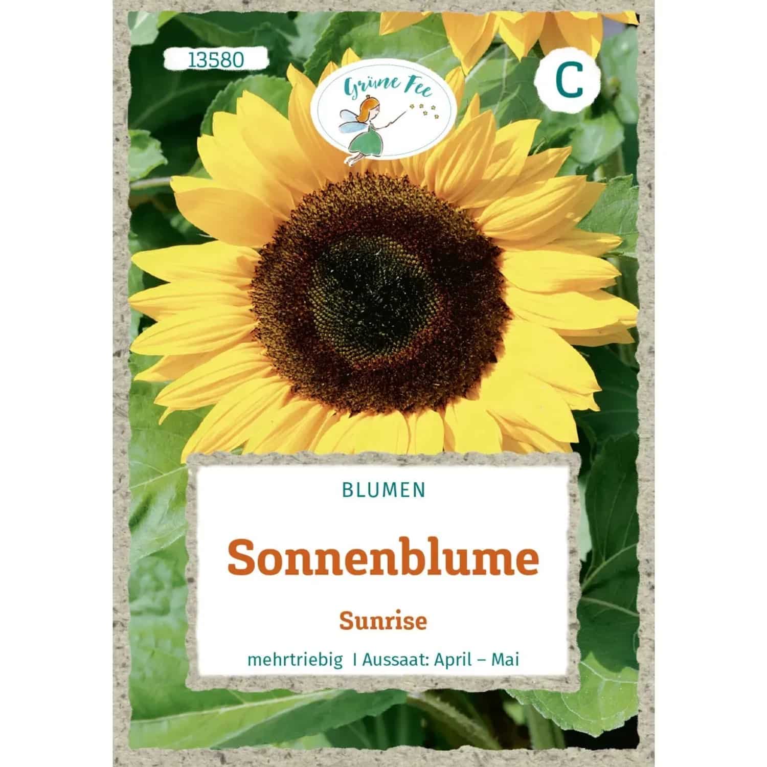 Grüne Fee Sonnenblume Sunrise Saatgut