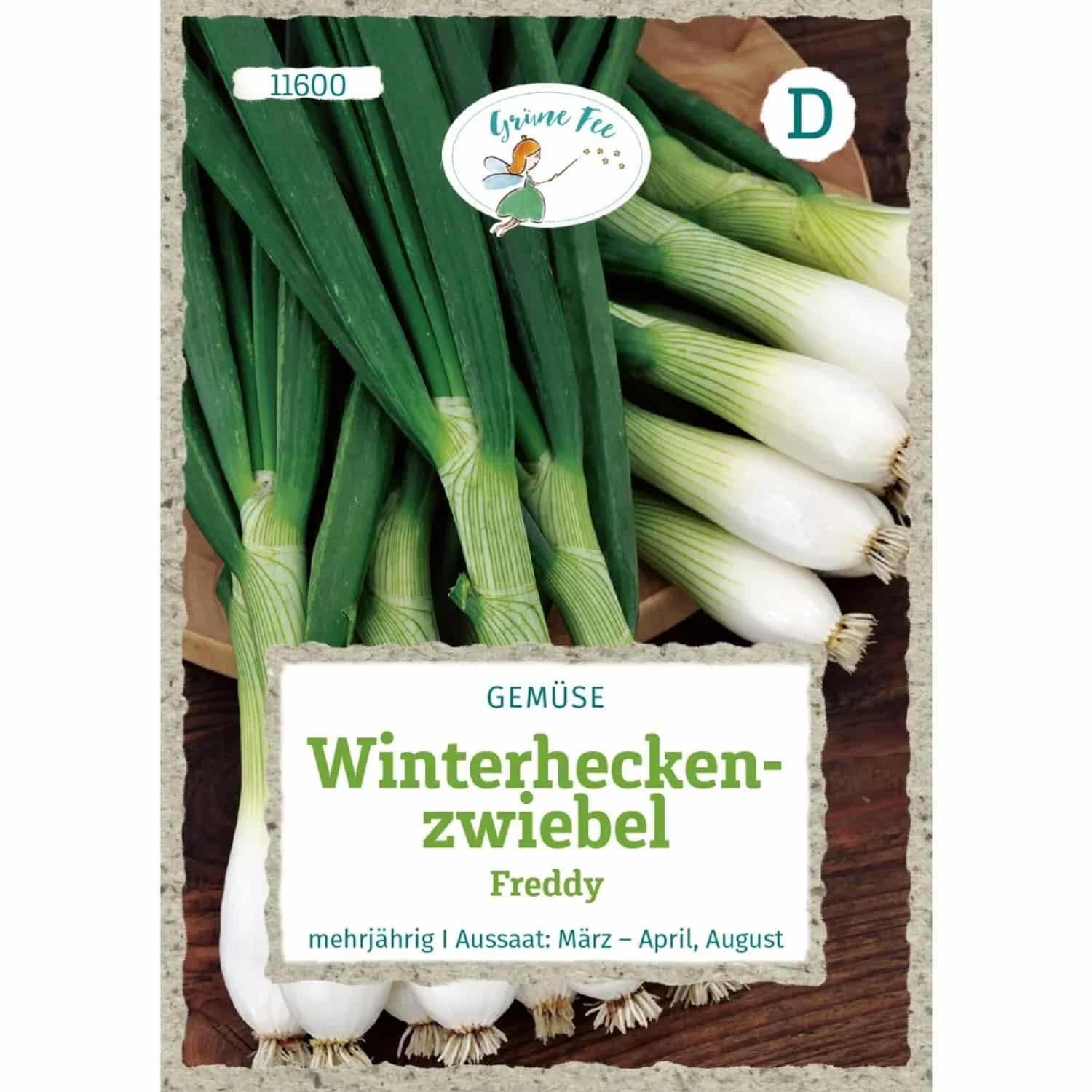 Grüne Fee Winterheckenzwiebel Freddy Saatgut