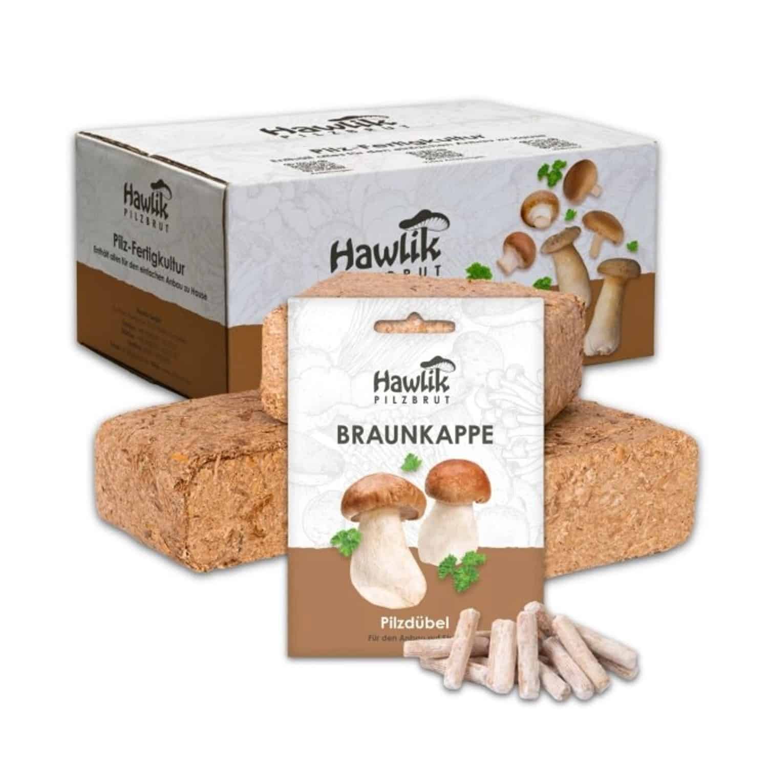 Hawlik Pilzbrut Braunkappe Pilzbeet-Set für Einfache Pilzzucht Im Garten mit Substrat und Myzel inkl. Anbau-Anleitung