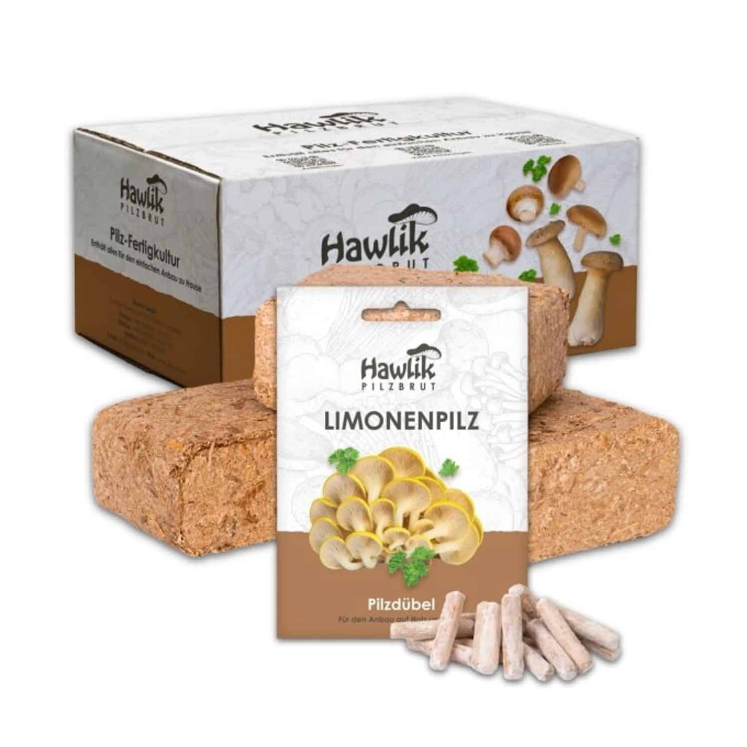 Hawlik Pilzbrut Limonenpilz Pilzbeet-Set für Einfache Pilzzucht Im Garten mit Substrat und Myzel inkl. Anbau-Anleitung