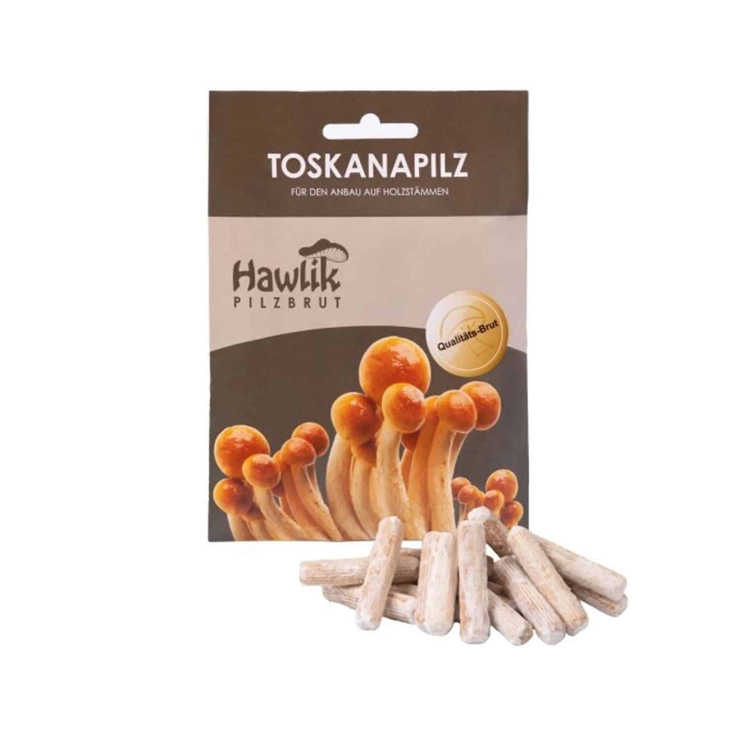 Hawlik Pilzbrut Myzel Dübelbrut Toskanapilze für Pilzzucht im Garten auf Holzstämmen