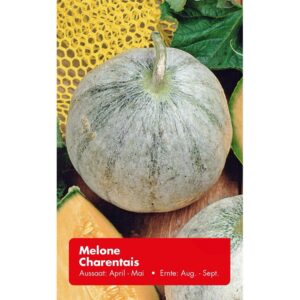 Melone Charentais