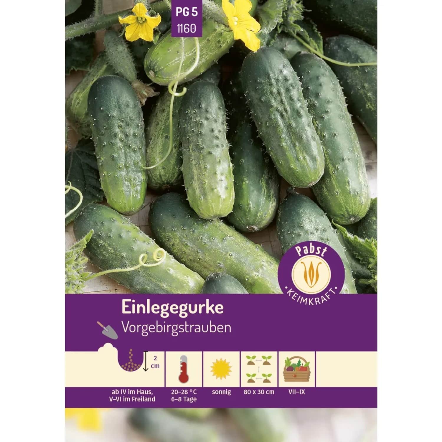 Pabst Keimkraft Einlegegurke Kurz & Oval Vorgebirgstrauben Saatgut
