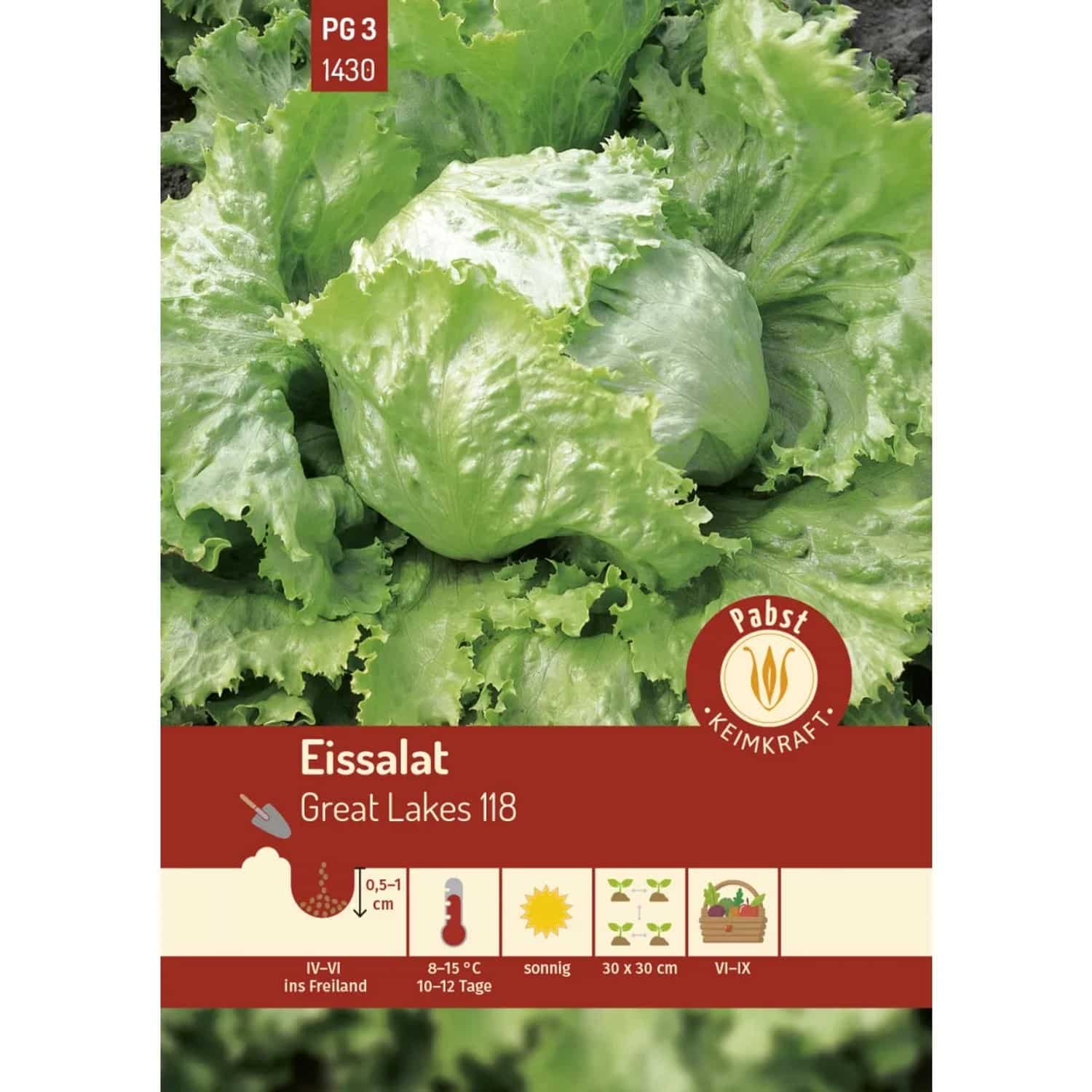 Pabst Keimkraft Eissalat Groß & Fest Great Lakes 118 Saatgut