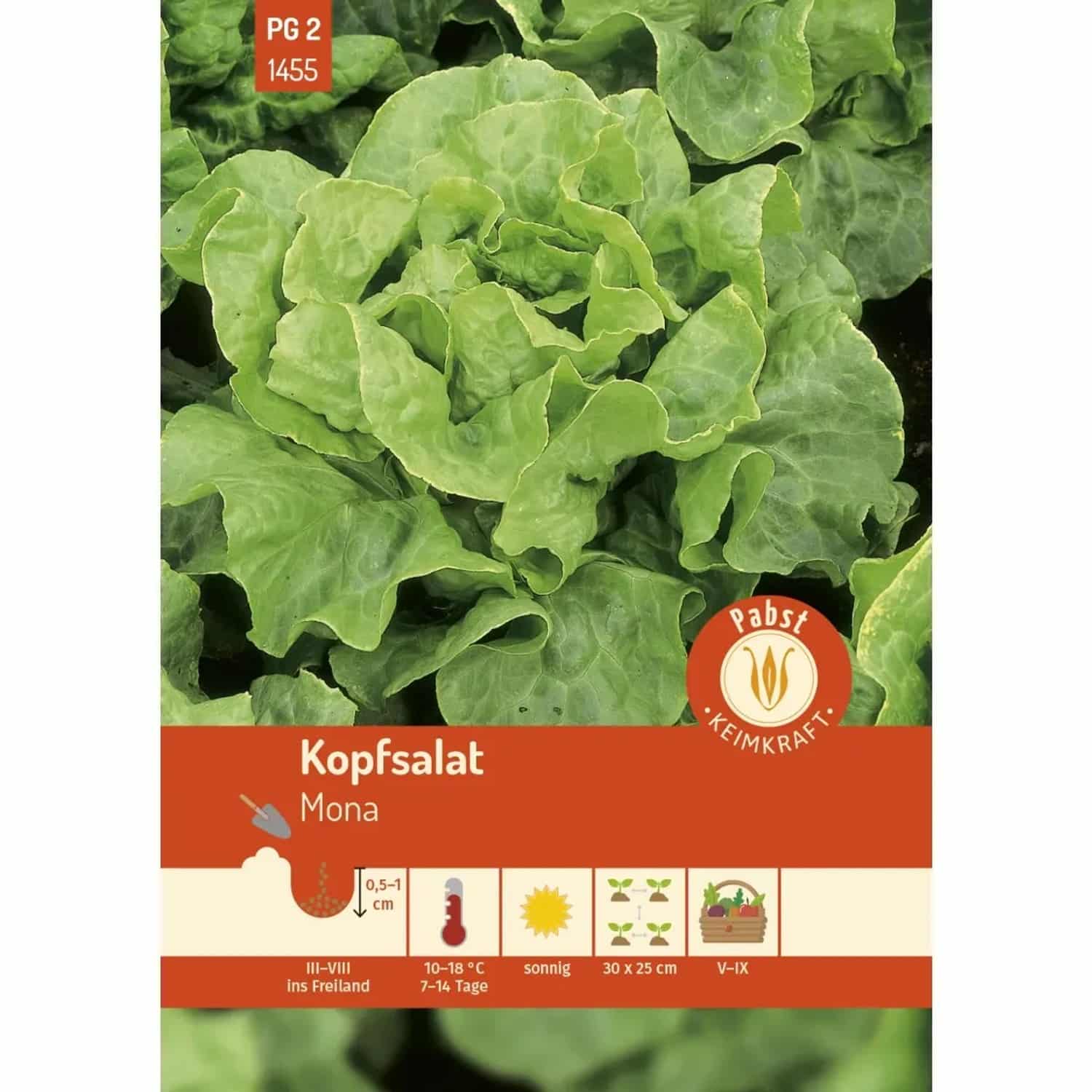 Pabst Keimkraft Kopfsalat Robust & Hitzebeständig Mona Saatgut