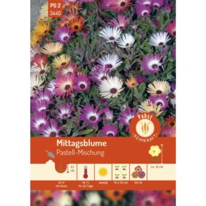 Pabst Keimkraft Mittagsblume Pastell-Mischung Saatgut