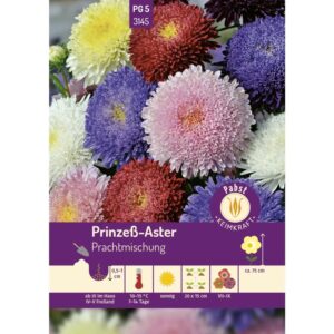 Pabst Keimkraft Prinzeß - Aster Prachtmischung Saatgut