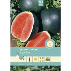 Pabst Keimkraft Wassermelone Früh & Kleinfrüchtig Sugar Baby Saatgut