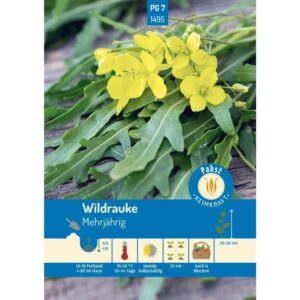 Pabst Keimkraft Wildrauke Rucola Saatgut