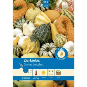Pabst Keimkraft Zierkürbis Buntes Erntefest Saatgut
