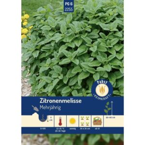 Pabst Keimkraft Zitronenmelisse Ausdauernd & Aromatisch Saatgut