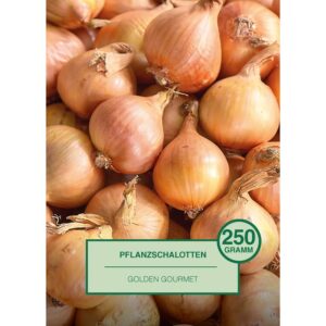 Pflanzschalotte 250 Gramm Allium cepa Golden Gourmet