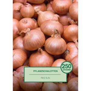 Pflanzschalotte Red Sun 250 g Solanum tuberosum