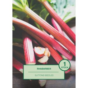 Rhabarbers 1 Stück Rheum rhabarbarum Suttons Seedles