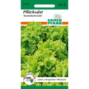 SAMEN PFANN Australischer Gelber Pflücksalat