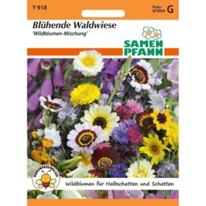 SAMEN PFANN Blühende Waldwiese