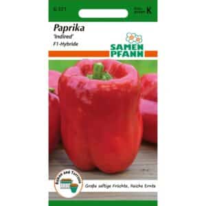 SAMEN PFANN Paprika Indired F1