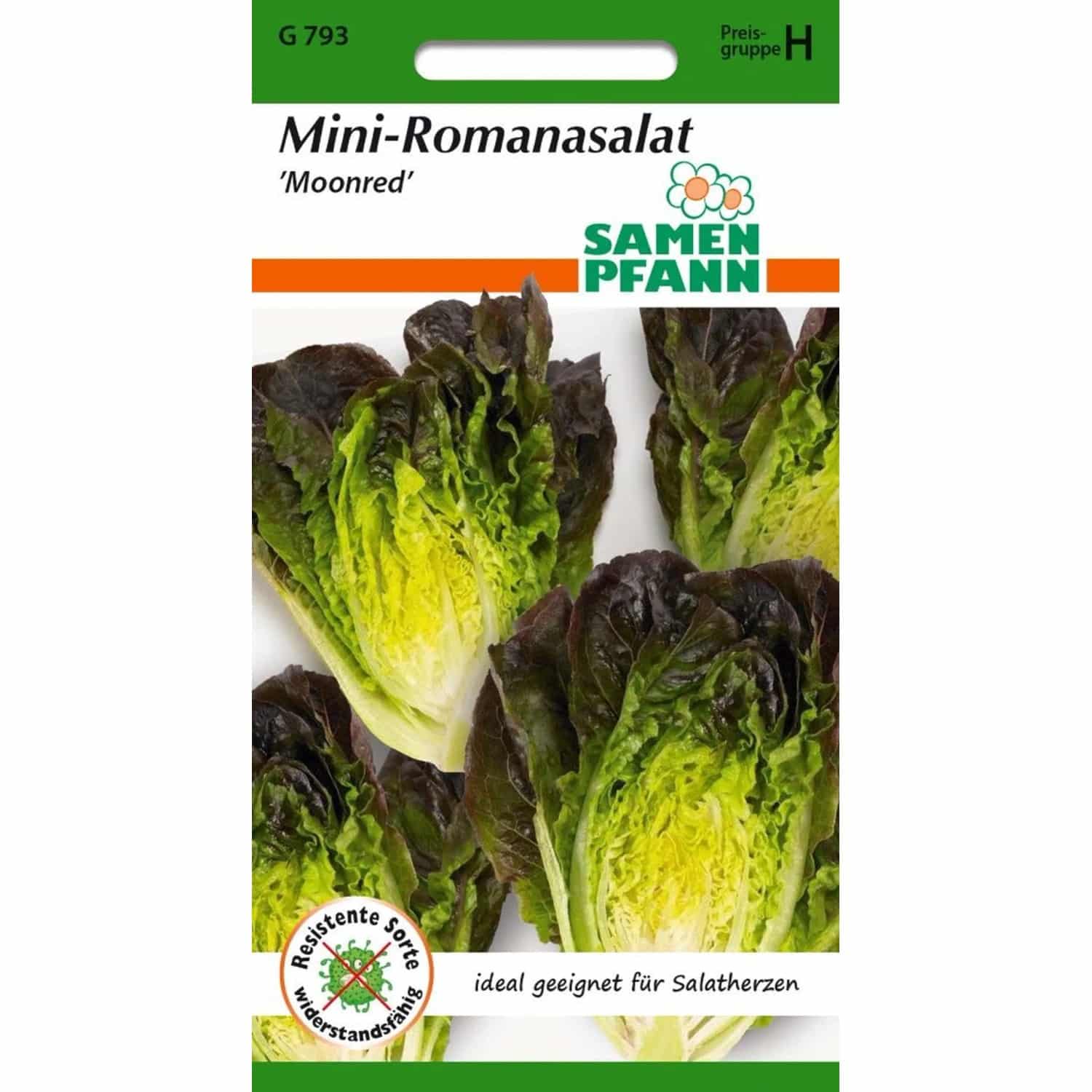 SAMEN PFANN Romanasalat Moonred