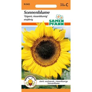 SAMEN PFANN Sonnenblume Gigant