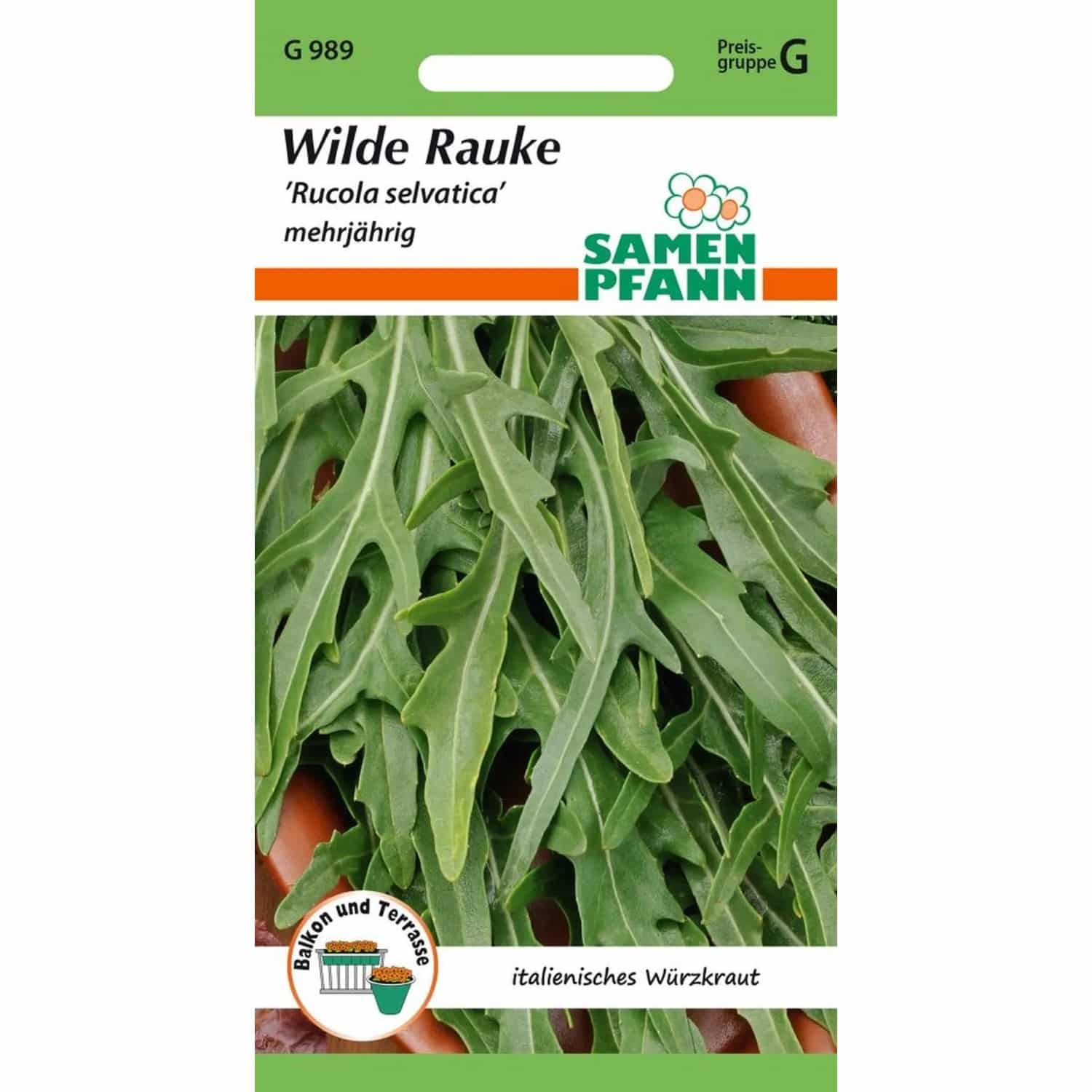 SAMEN PFANN Wilde Rauke