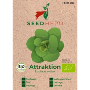 Seedhero BIO Kopfsalat Attraktion Samen