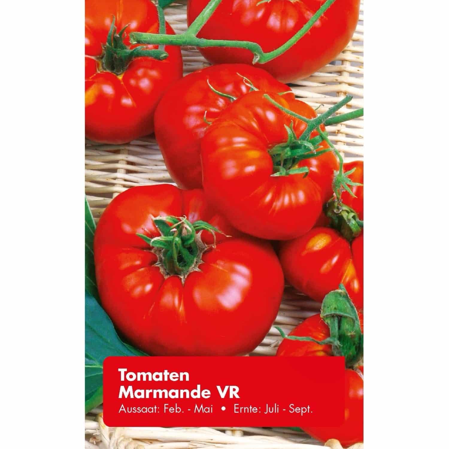 Tomate Marmande VR